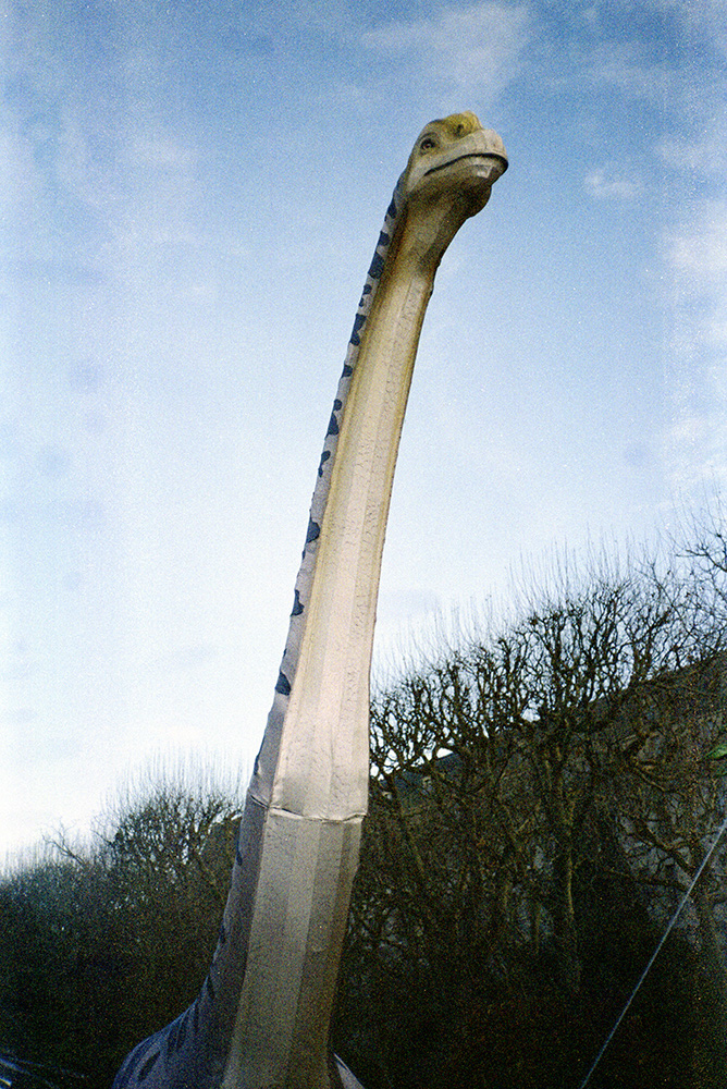 a long-necked dinosaur with the blue sky in the background