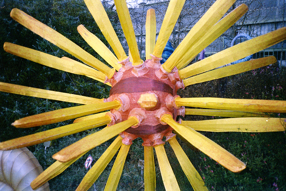 a red sea creature with yellow spikes