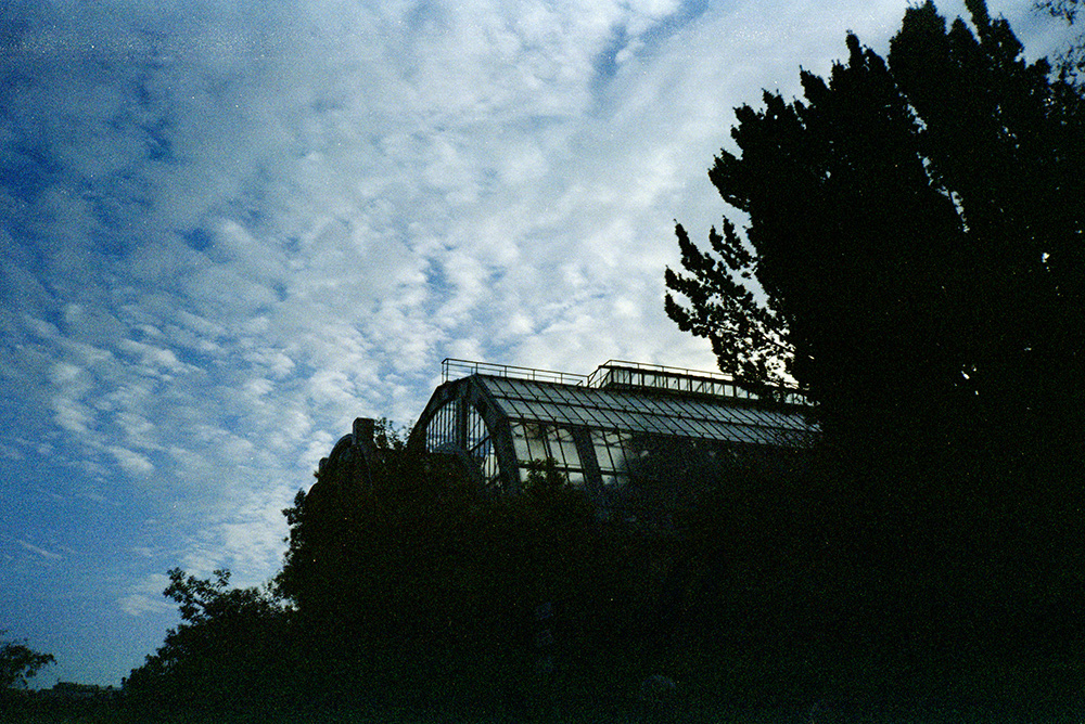 back-lit picture of a greenhouse and trees in front of the bright blue sky